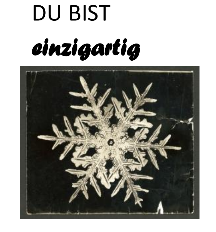 Screenshot_20210128-084556~2