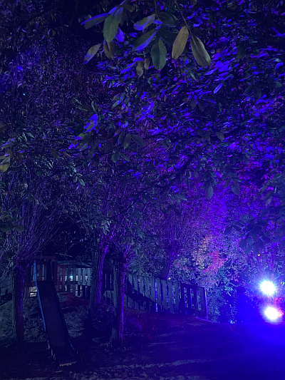 Kindergarten_Martinsfest_1